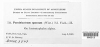 Image Associated With the Occurence